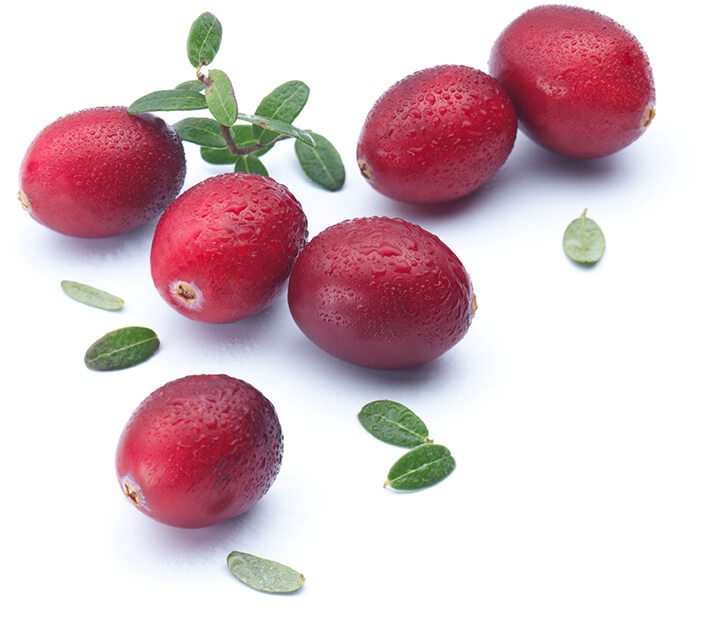 Cranberry America's Original Superfruit