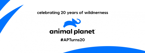Animal Planet India, 2019 #HappinessUnwraps - A Brand Identity Refresh Campaign